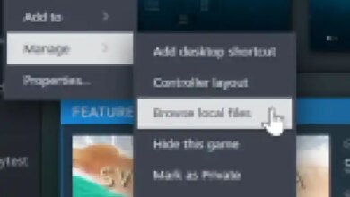 How To Fix the Sword of the Sea Resolution Issue on PC