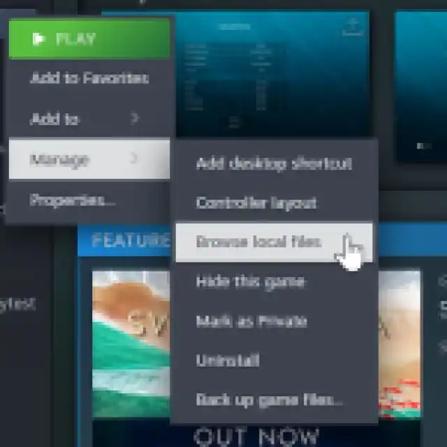 How To Fix the Sword of the Sea Resolution Issue on PC