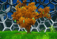 My Money Grows On Trees – Official Launch Trailer