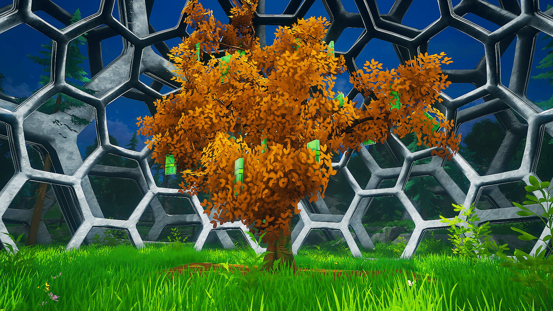 My Money Grows On Trees – Official Launch Trailer